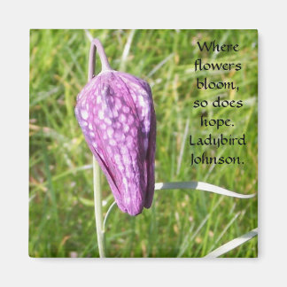 Aimant Fritillaire