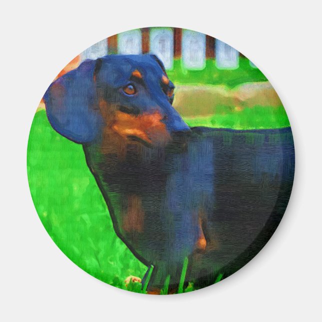 Aimant Fritz (Devant)