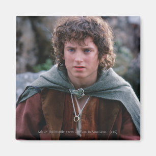 AIMANT FRODO™