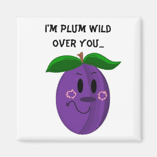 Aimant Fruit De Plum Sucré Dit