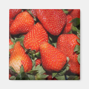 Aimant fruits de fraise rouge