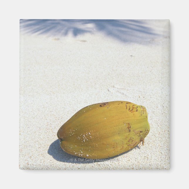 Aimant Fruits de palme (Devant)