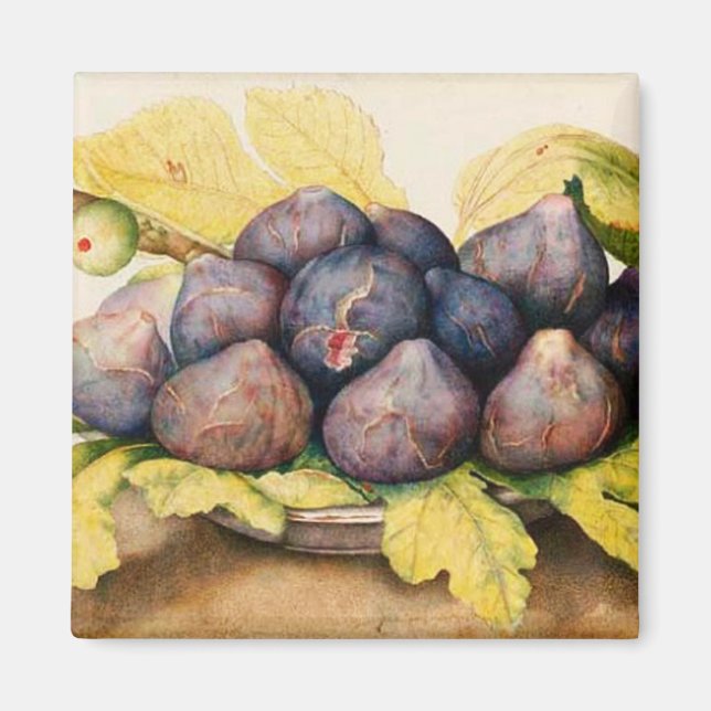 AIMANT FRUITS DE SAISON / PLAQUE AUX FIGUES ET FEUILLES V (Devant)