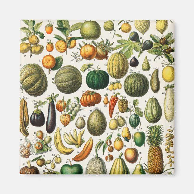 Aimant Fruits et légumes (Devant)