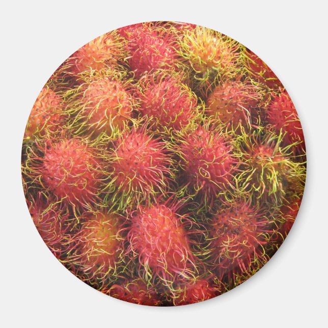 Aimant Fruits tropicaux Rambutan (Devant)