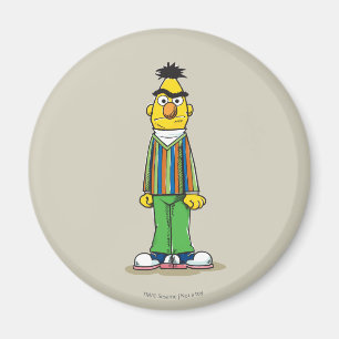 Aimant Frustré Bert