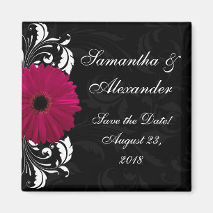 Aimant Fuchsia Scroll Gerbera Daisy avec noir et blanc