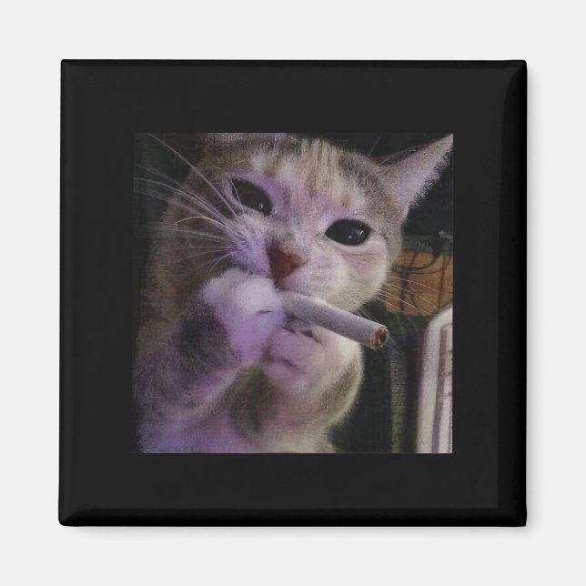 Aimant Fumer drôle Chat, Cigarette Kitty Gen Z Mème, Chat (Devant)