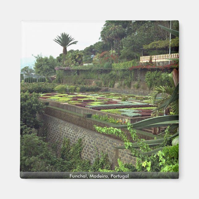 Aimant Funchal, Madère, Portugal (Devant)