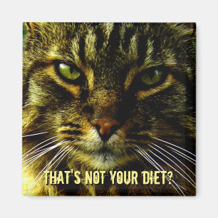 Aimant Funny Cat Diet Guard