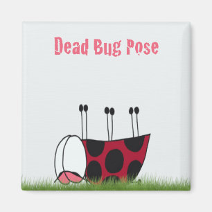 Aimant Funny Ladybug Dead Bug Yoga Pose