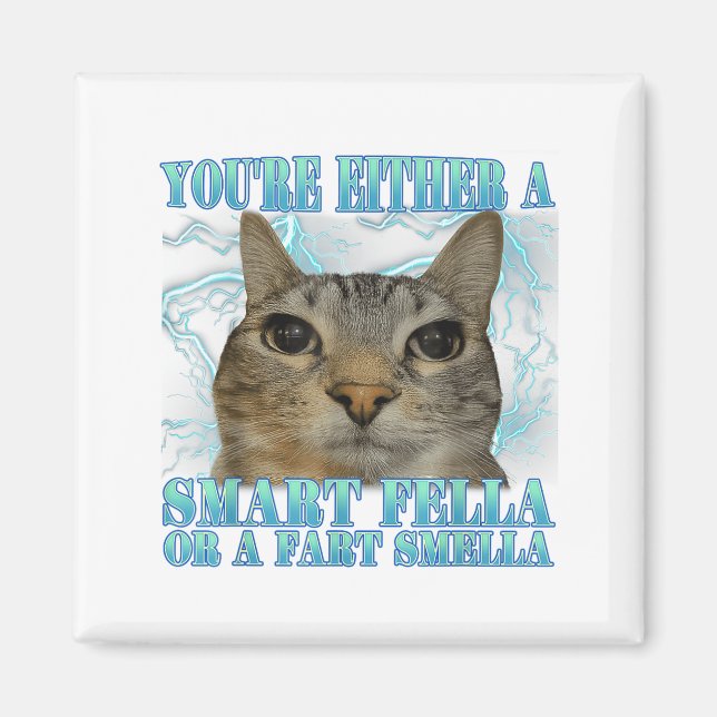 Aimant Funny You're Either A Smart Fella Or A Fart Smella (Devant)