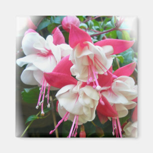 Aimant Fuschia rose et blanc