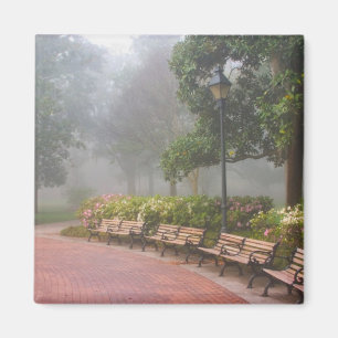 Aimant GA Savannah, Azaleas, le long du trottoir en briqu