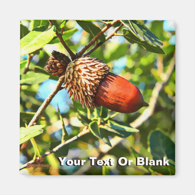 Aimant Galilee Acorn (Devant)