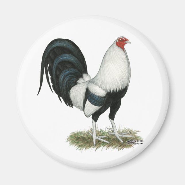 Aimant Gamecock argenté (Devant)