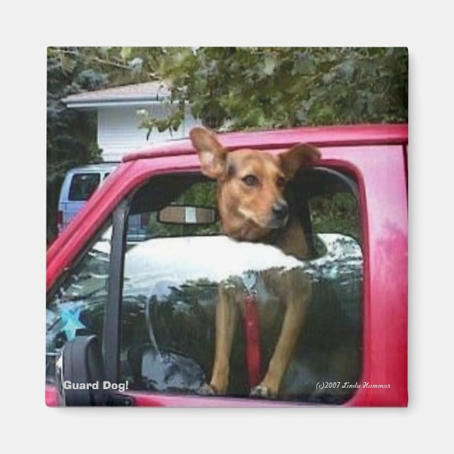 Aimant Garde Chien ! (Devant)