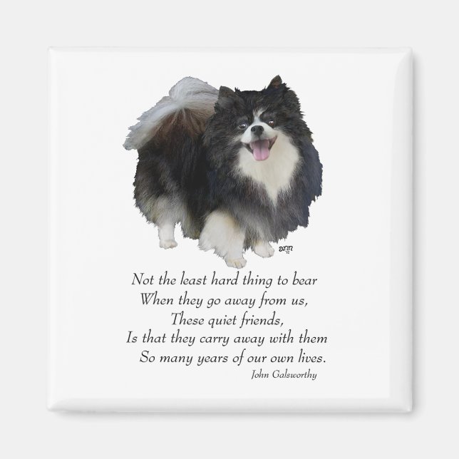 Aimant Garde de Pomeranian noir (Devant)