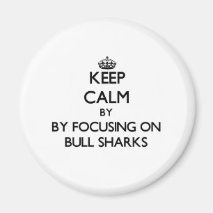 Aimant Gardez le calme en se concentrant sur des requins