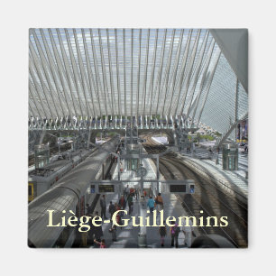 Aimant Gare de Liège-Guillemins