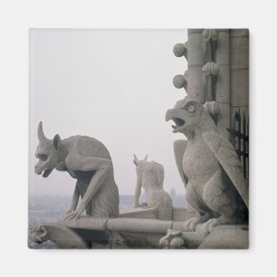 Aimant Gargouilles sur la balustrade du grand