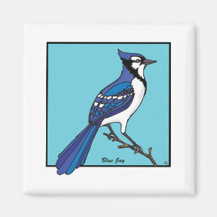 AIMANT GEAI BLEU