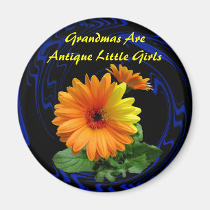 AIMANT GEBER DAISY -MAGNET