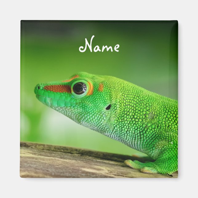 Aimant Gecko Géant de la Journée Verte - Phelsuma grandis (Devant)