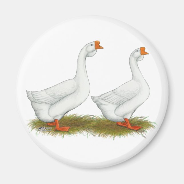 Aimant Geese de l'Afrique blanche (Devant)