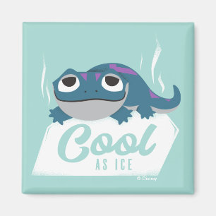 Aimant Gelé 2  Bruni Cool de glace