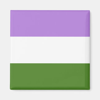 Aimant Genderqueer Pride