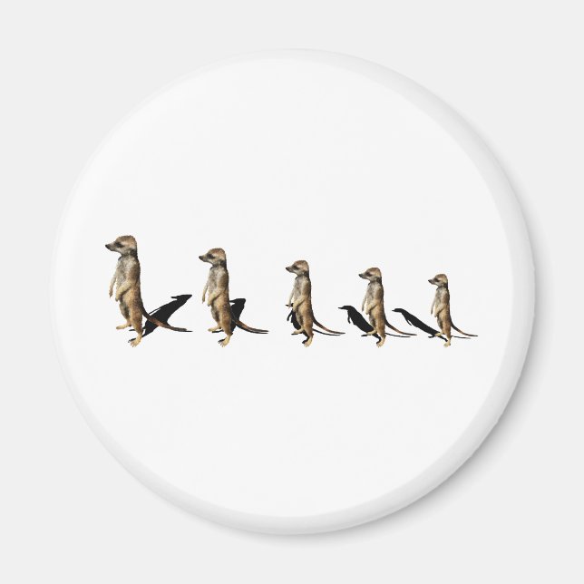 Aimant Génotype (Devant)