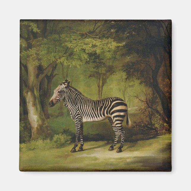 Aimant George Stubbs | A Zebra, 1763 (huile sur toile) (Devant)