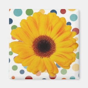 Aimant Gerber Daisy