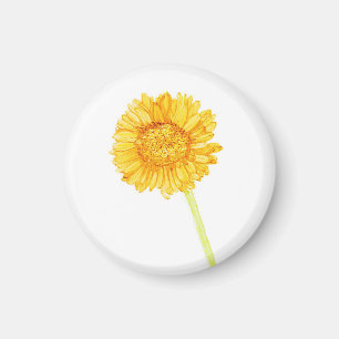 Aimant Gerbera