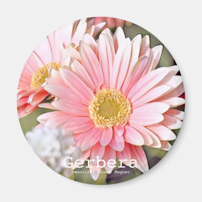 Aimant Gerbera (Devant)