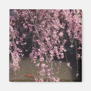 Aimant Gion, préfecture de Kyoto, Japon