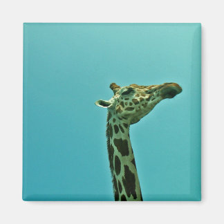 Aimant girafe