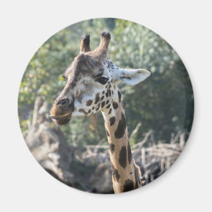 Aimant Girafe