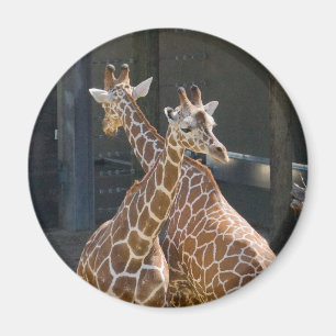 Aimant girafe2