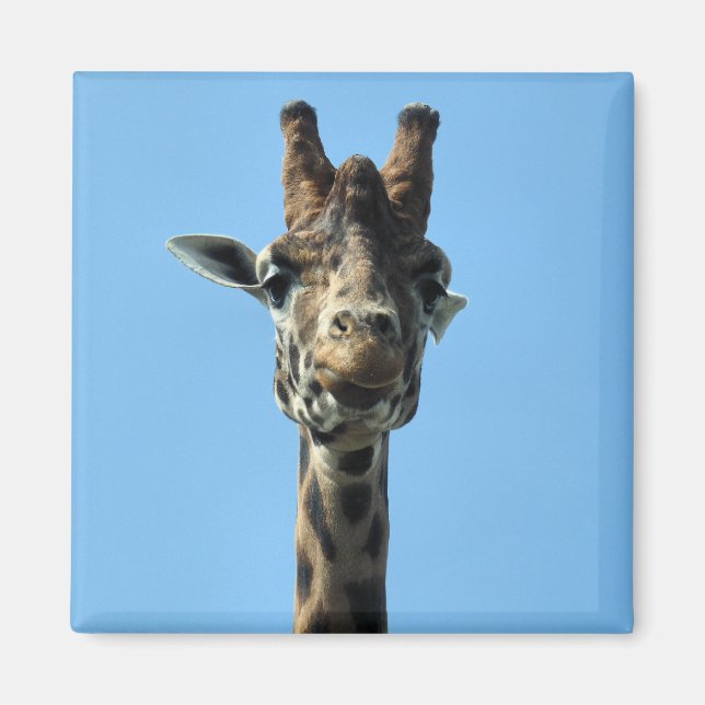 AIMANT GIRAFFE (Devant)