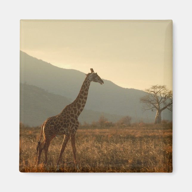 Aimant Giraffe dans la Savannah (Devant)