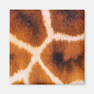 AIMANT GIRAFFES
