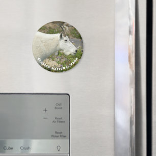 Aimant Glacier National Park Mountain Chèvre Photo