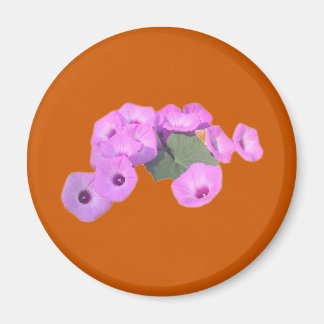 Aimant Glories du matin