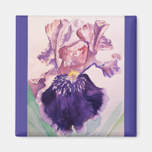 Aimant Glorioues Purple Iris Aquarelle Peinture