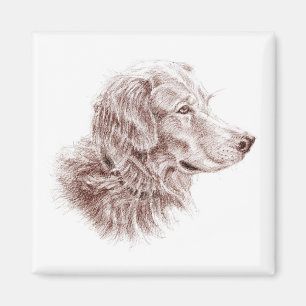 Aimant Golden Retriever