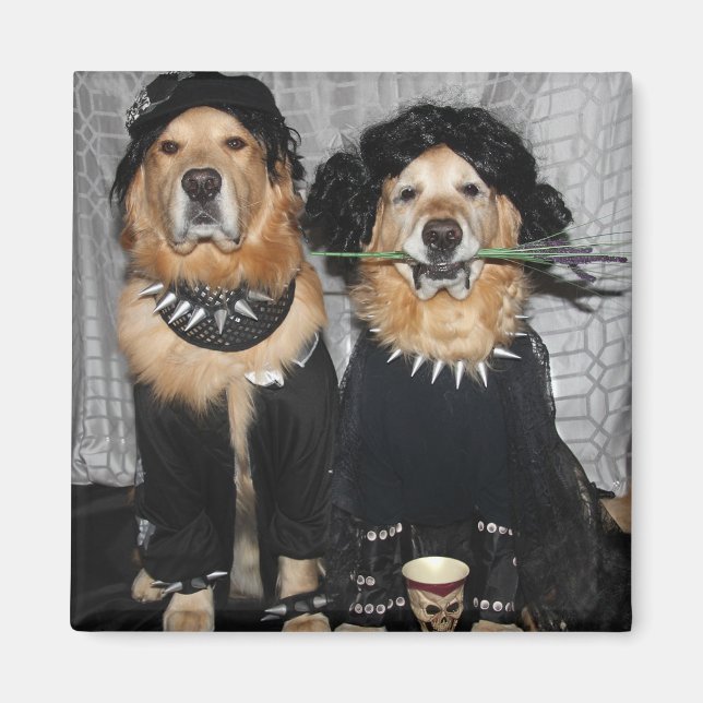 Aimant Golden Retriever Du Côté Goth (Devant)