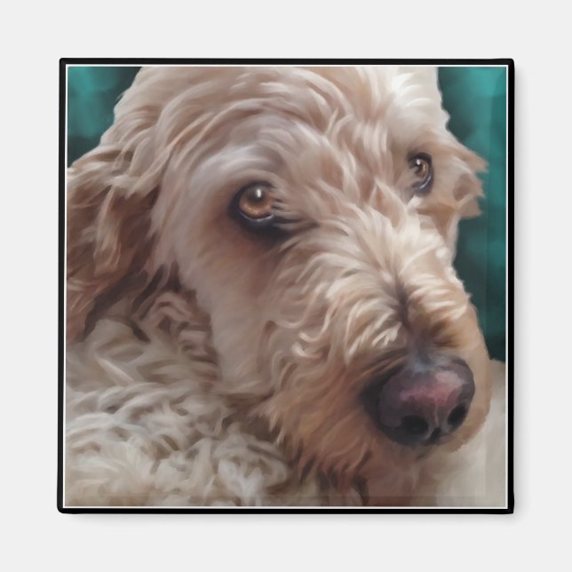 Aimant Goldendoodle (Devant)