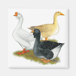 Aimant Goose Trio